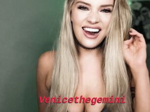 Venicethegemini