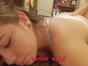 Venus_wild