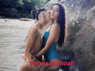 Venusandnoah