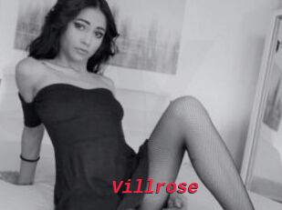 Villrose