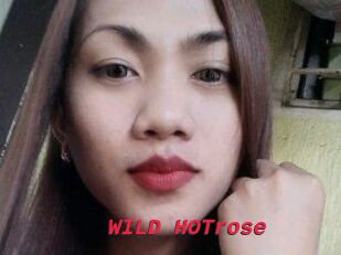 WILD_HOTrose