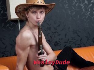 WesleyDude