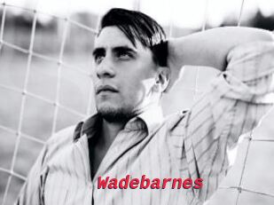 Wadebarnes