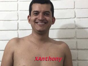 XAnthony