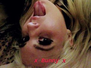 _x_Bunny_x_